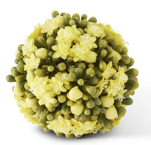 Yellow Kalanchoe Ball ~ 4 Inches