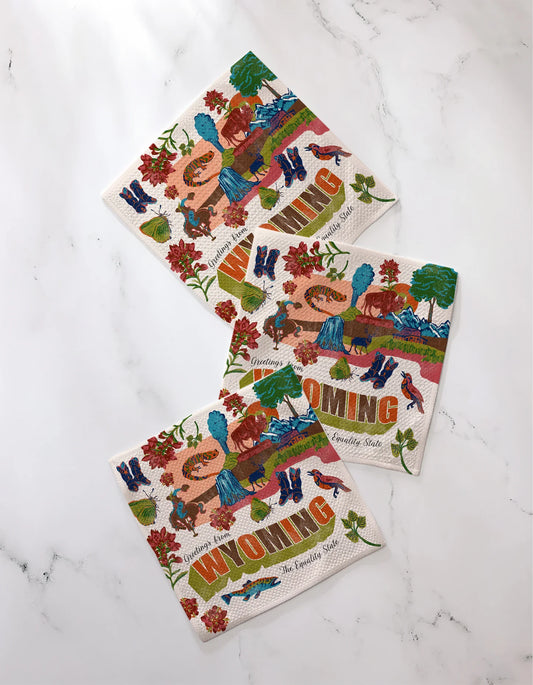 GEOMETRY DISHCLOTH ~ WYOMING