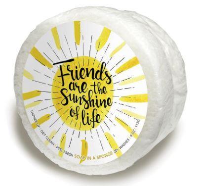 Shower Sponge ~ Friends Are the Sunshine of Life