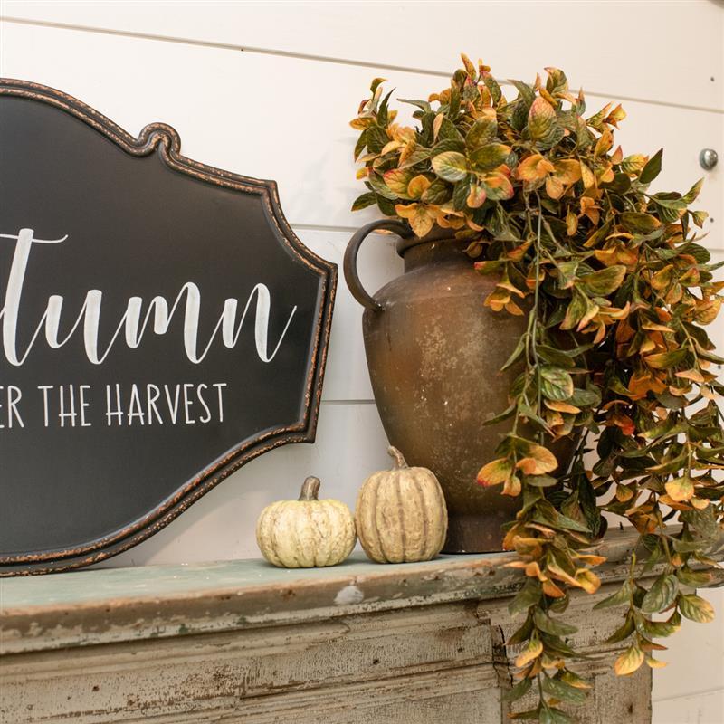 Mint Hanging Bush ~ 32 Inches Long