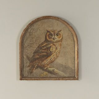 Great Horned Owl Arched Framed Print