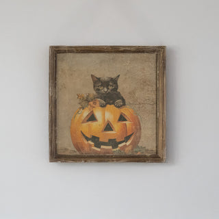 Cat in Pumpkin Framed Print