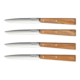 Box Of 4 Table Knives No.125 South Spirit Olivewood Handle