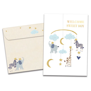Welcome Sweet Boy Greeting Card