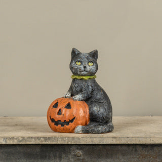 Black Cat with Jack O Lantern