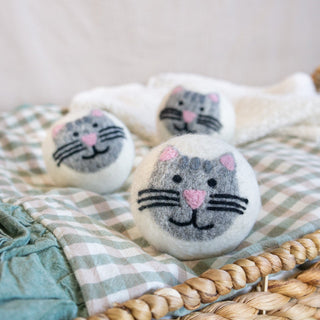 Grey Tabby Cats